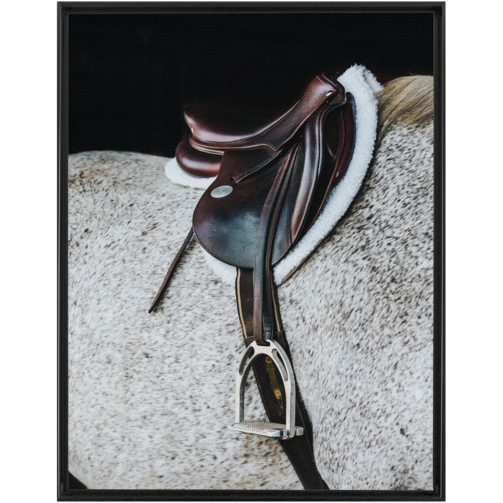 Apollo Series 3, Framed Canvas
