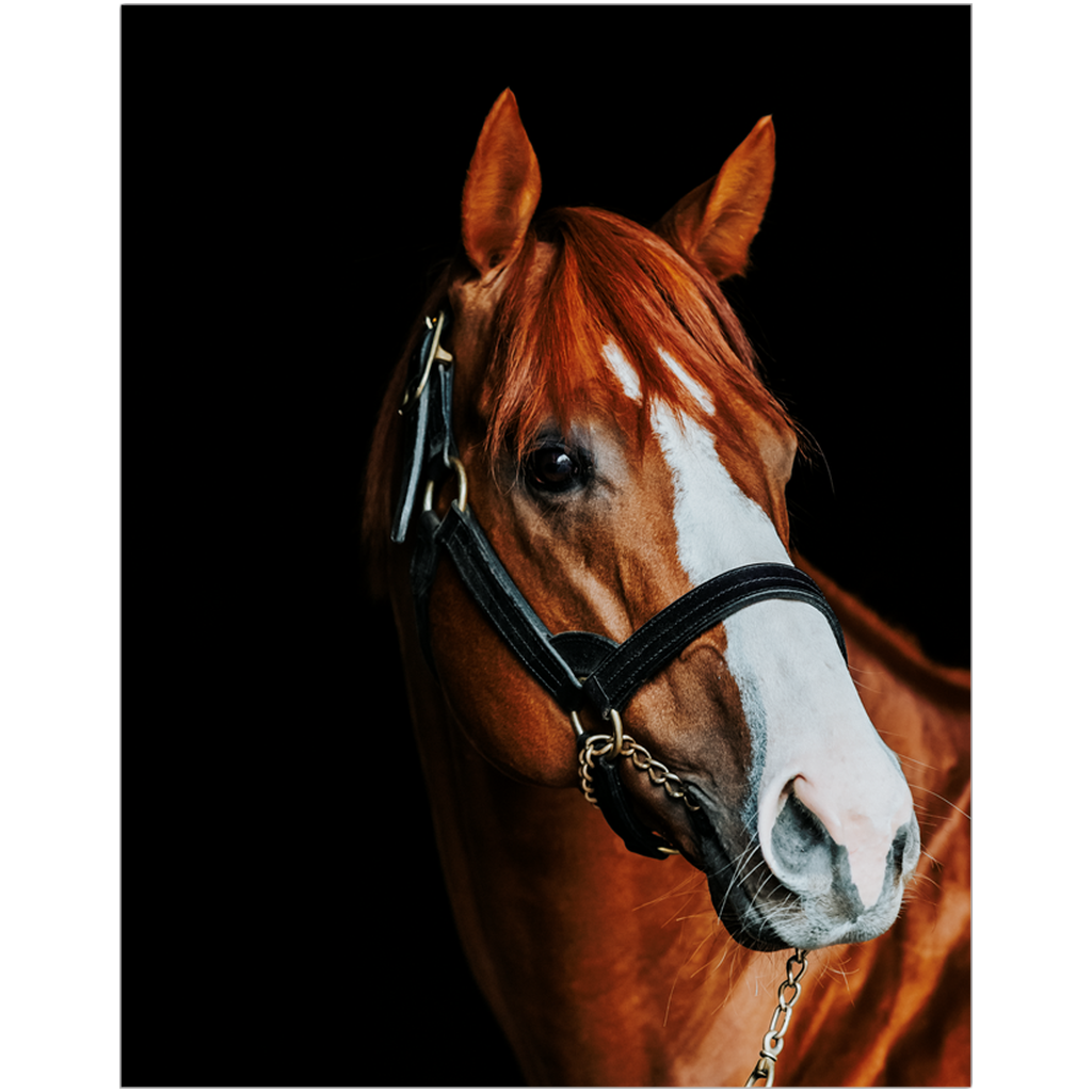 Justify Series 2, Print