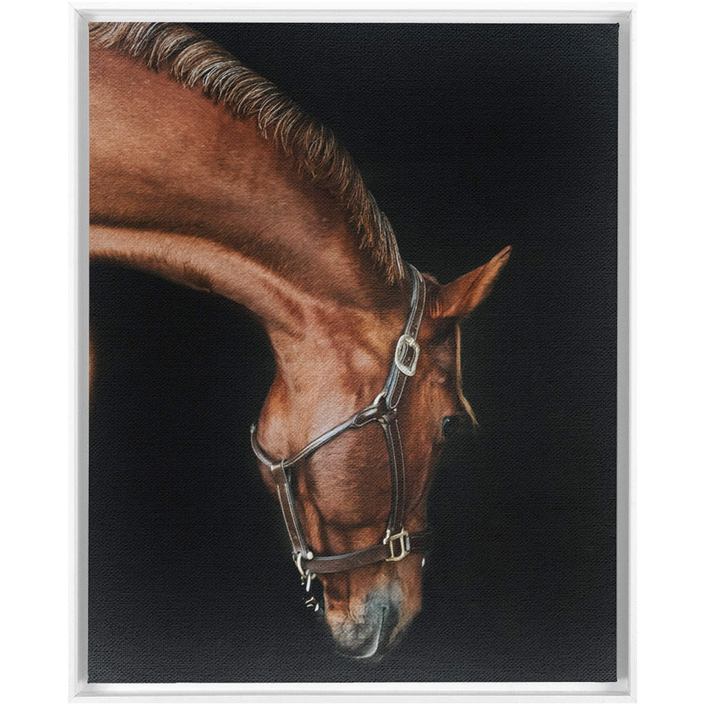 Django Series 6, Framed Canvas
