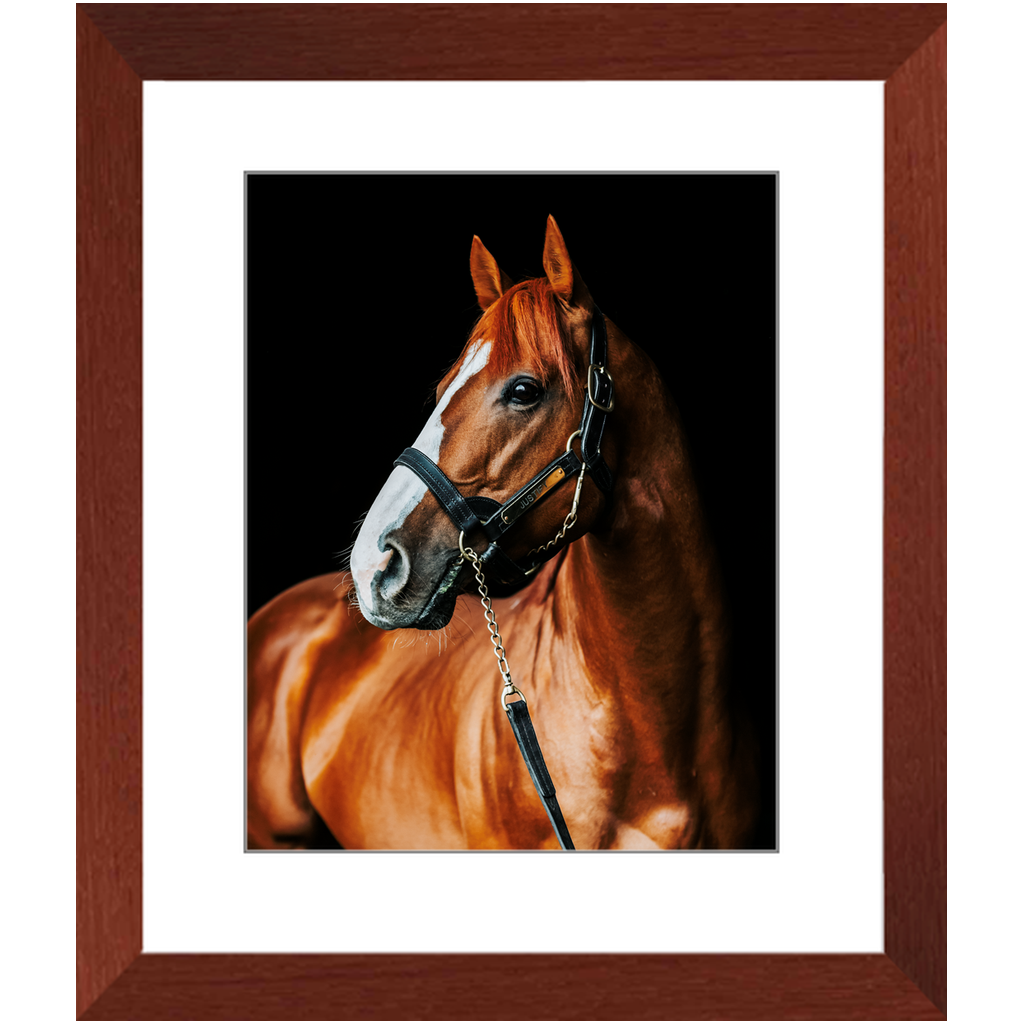 Justify Series 1, Framed Print