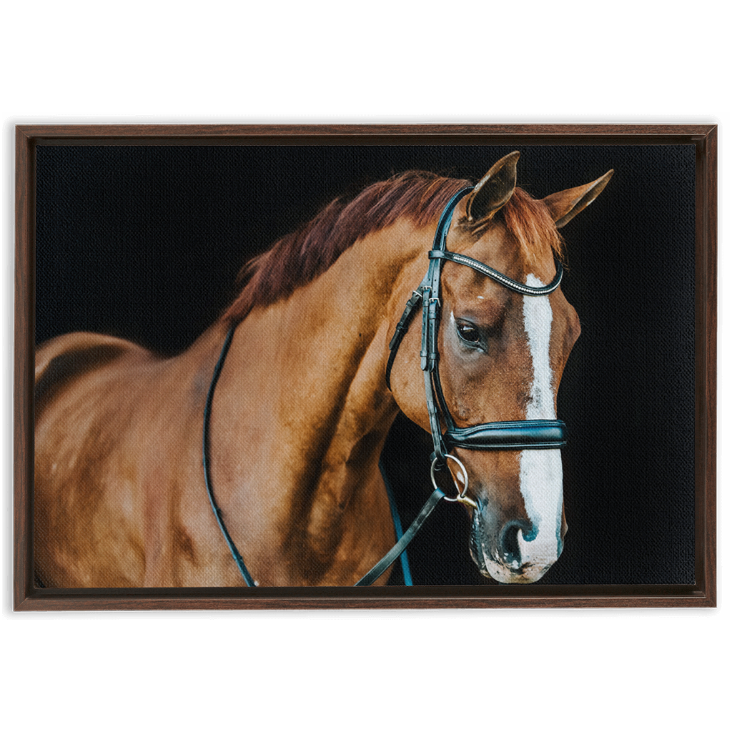 Hudson Series 1, Framed Canvas
