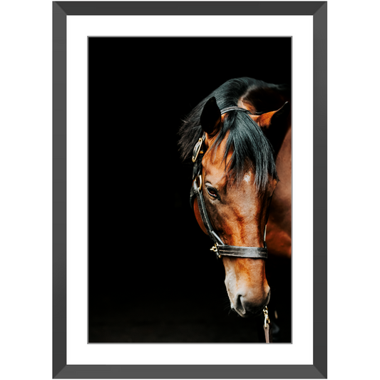 American Pharoah Series 6, Framed Print