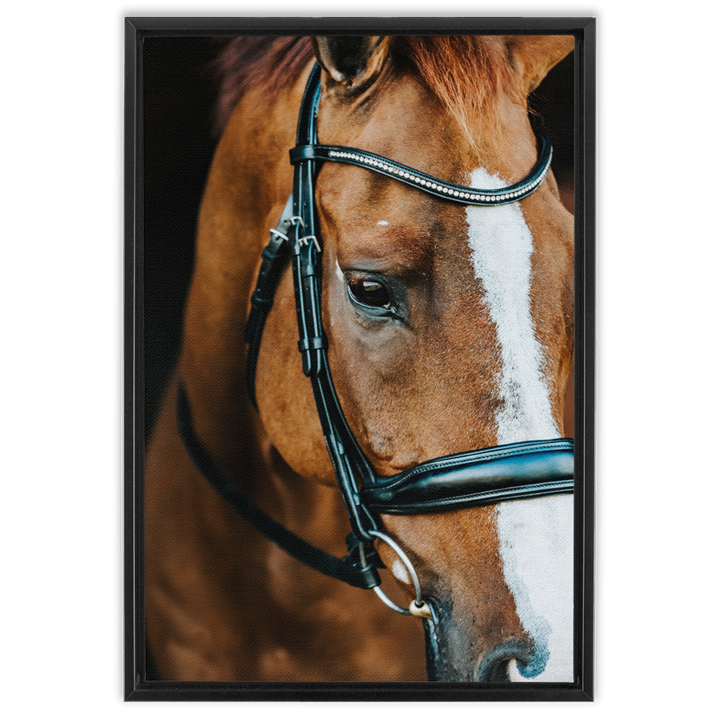 Hudson Series 3, Framed Canvas