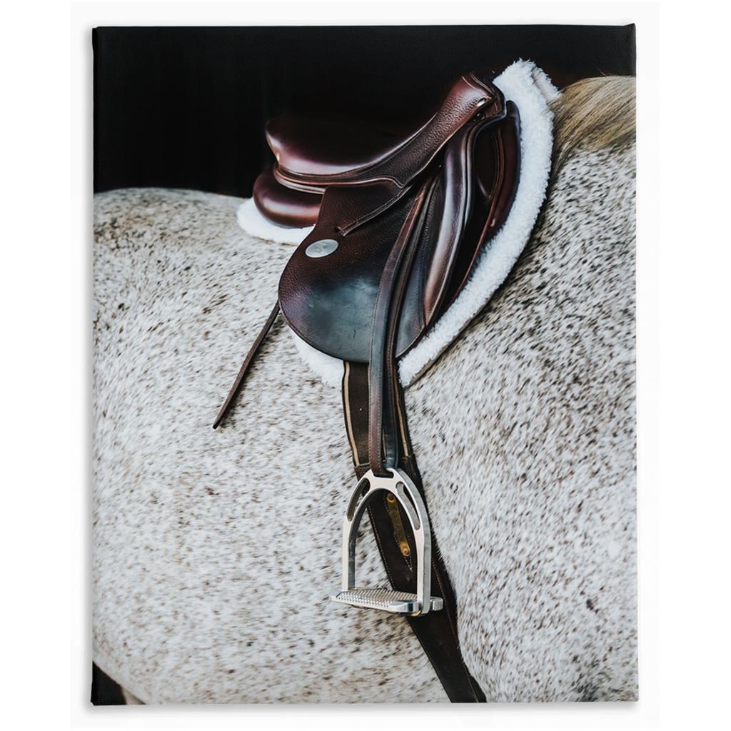Apollo Series 3, Stretched Canvas