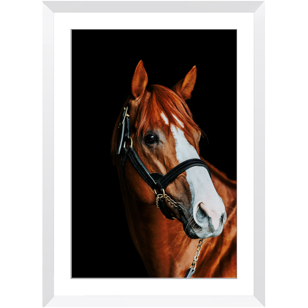 Justify Series 2, Framed Print