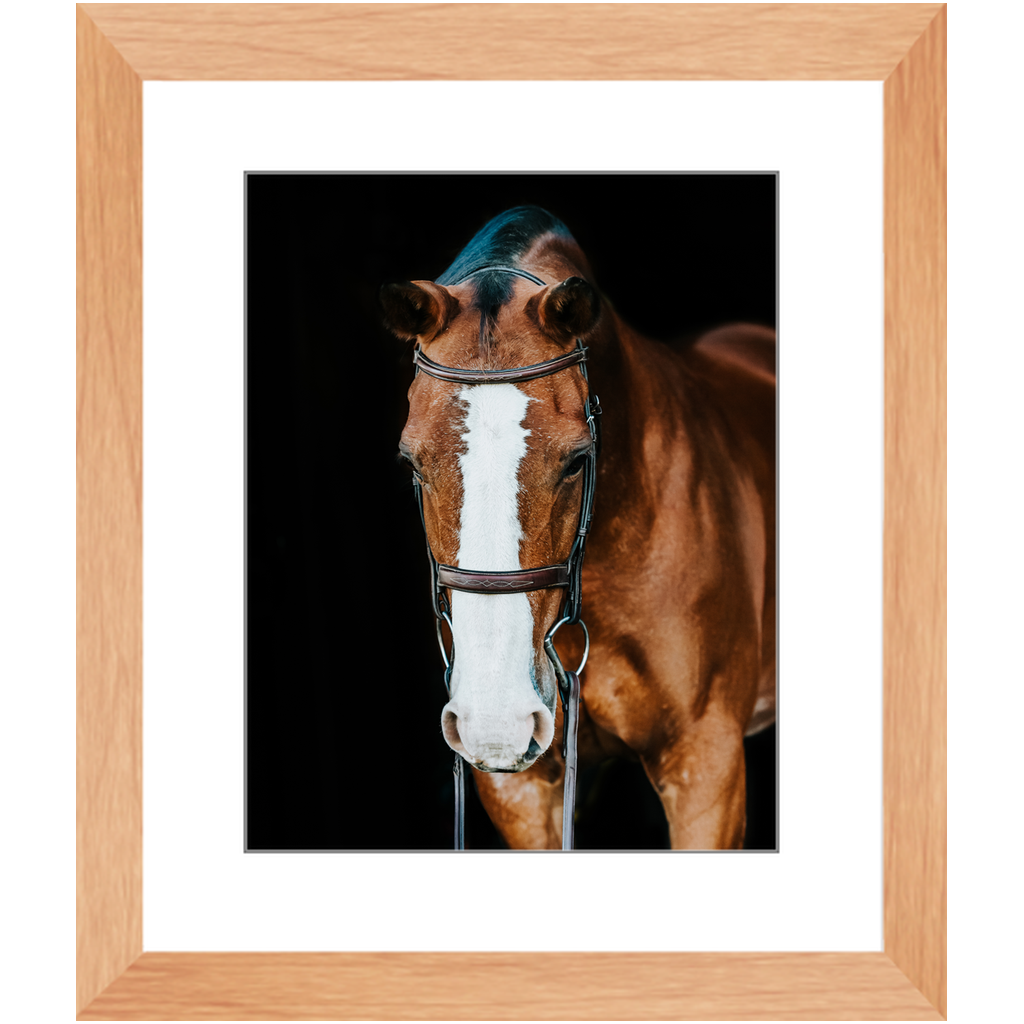Huntsman Series 6, Framed Print