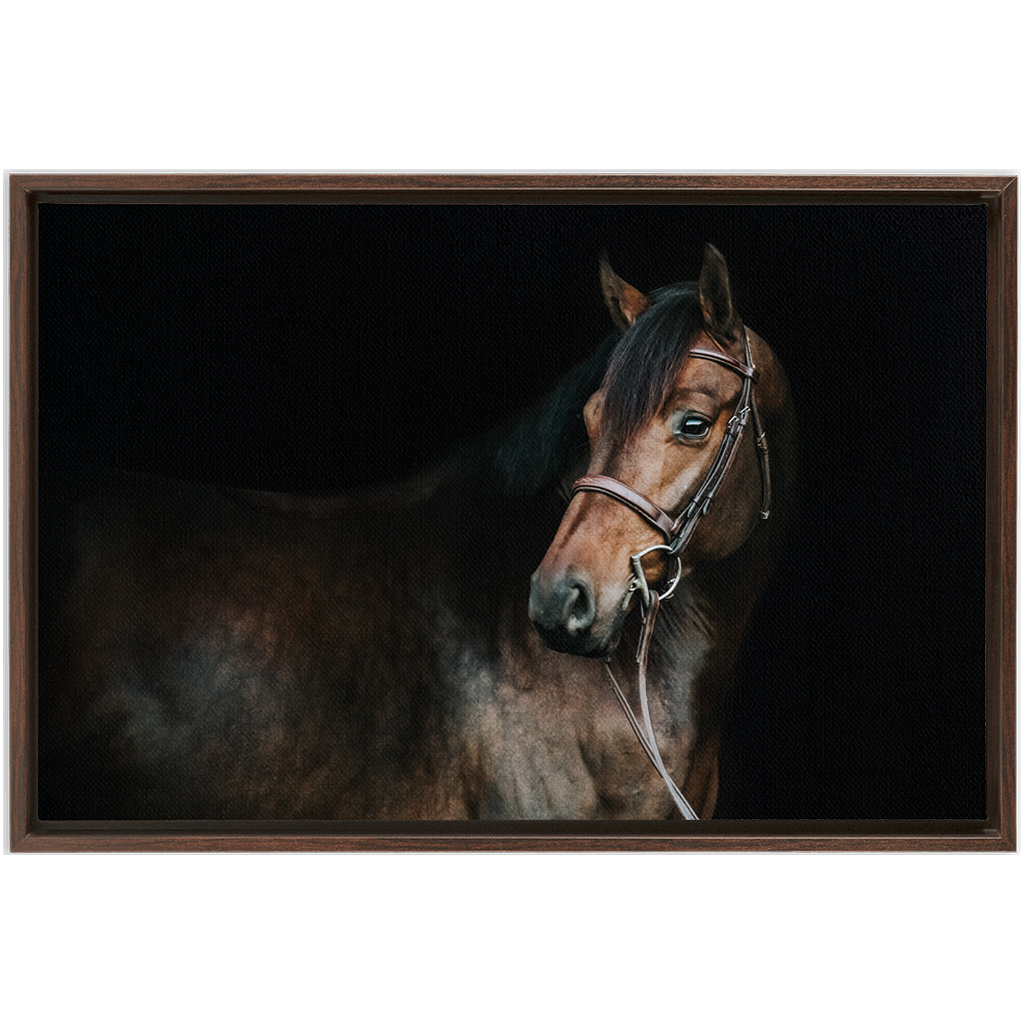 Jovial Series 2, Framed Canvas