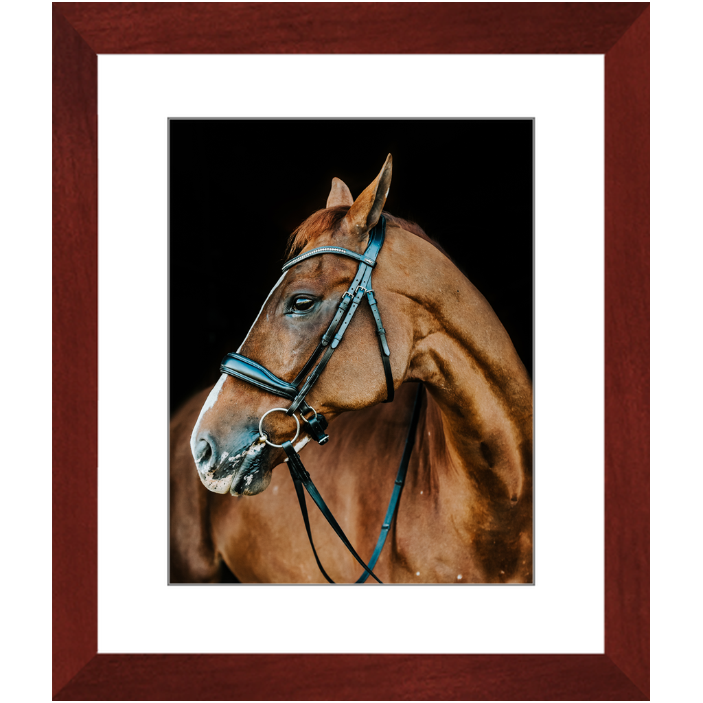 Hudson Series 6, Framed Print