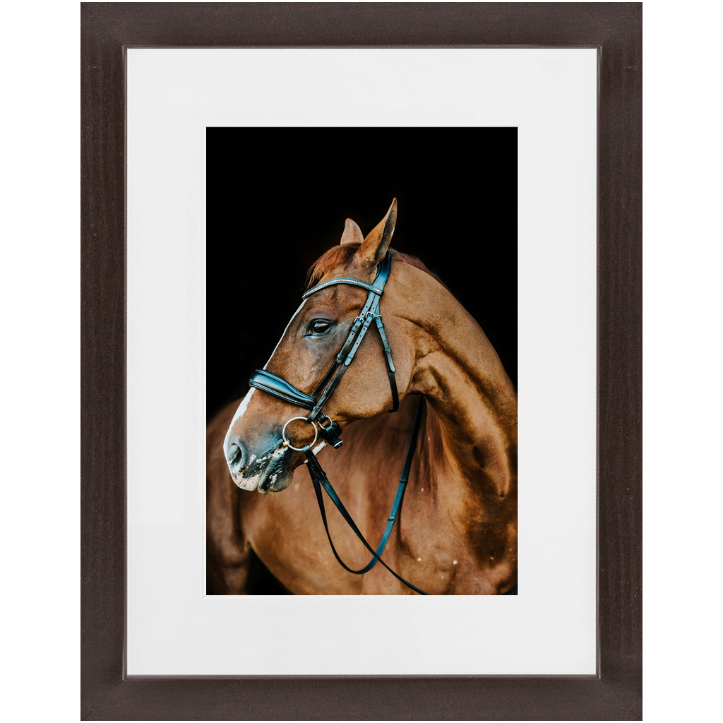 Hudson Series 6, Framed Print