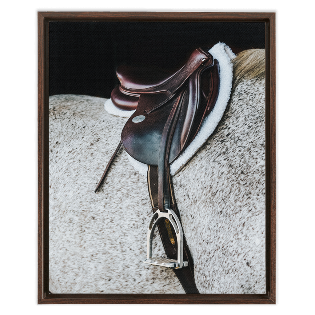 Apollo Series 3, Framed Canvas