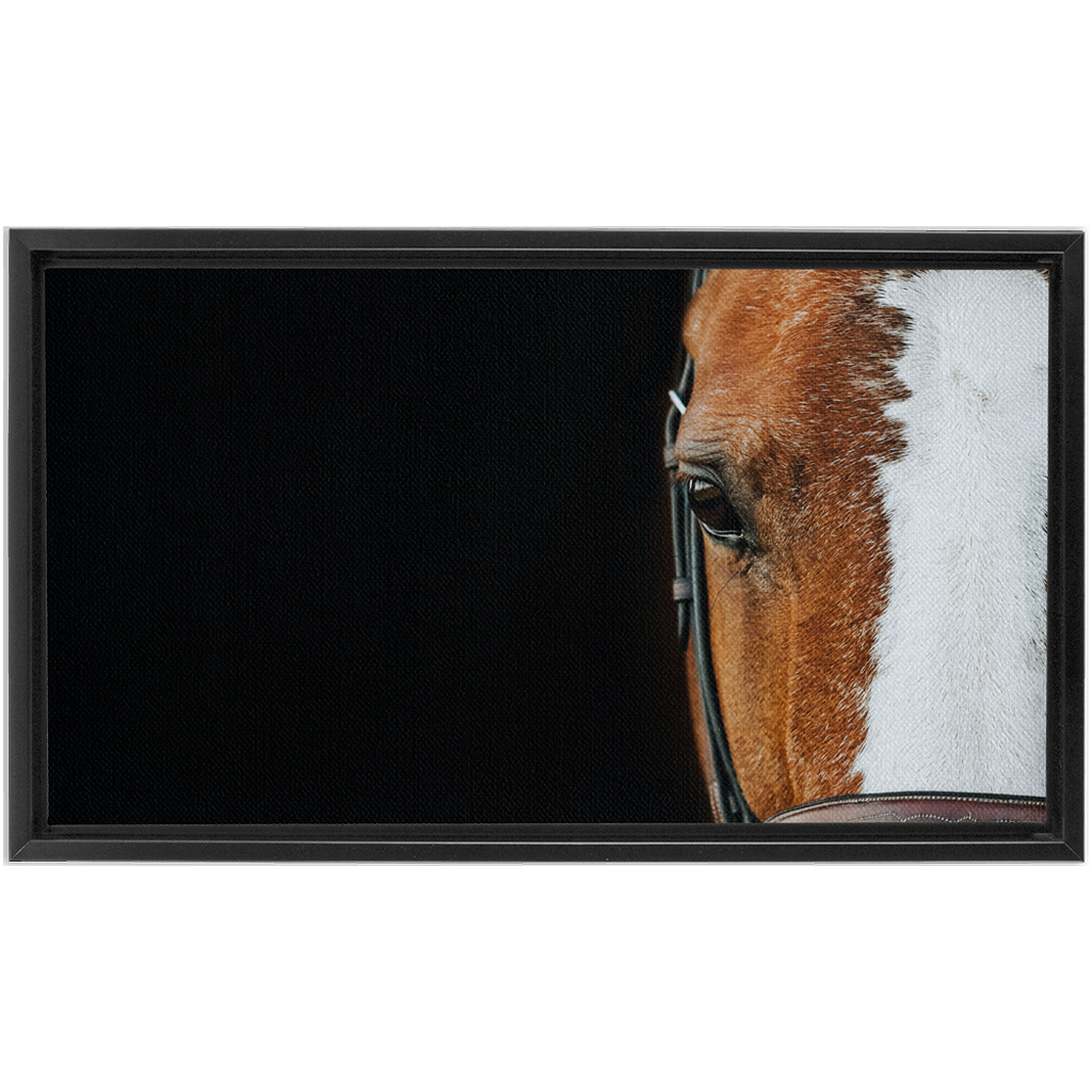 Huntsman Series 5, Framed Canvas