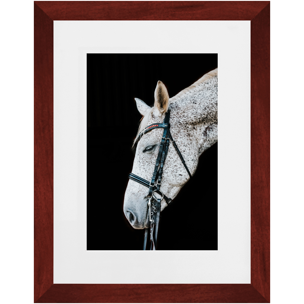 Apollo Series 1, Framed Print