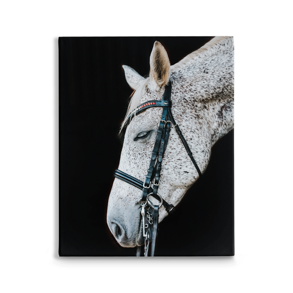 Apollos Series 2, Stretched Canvas