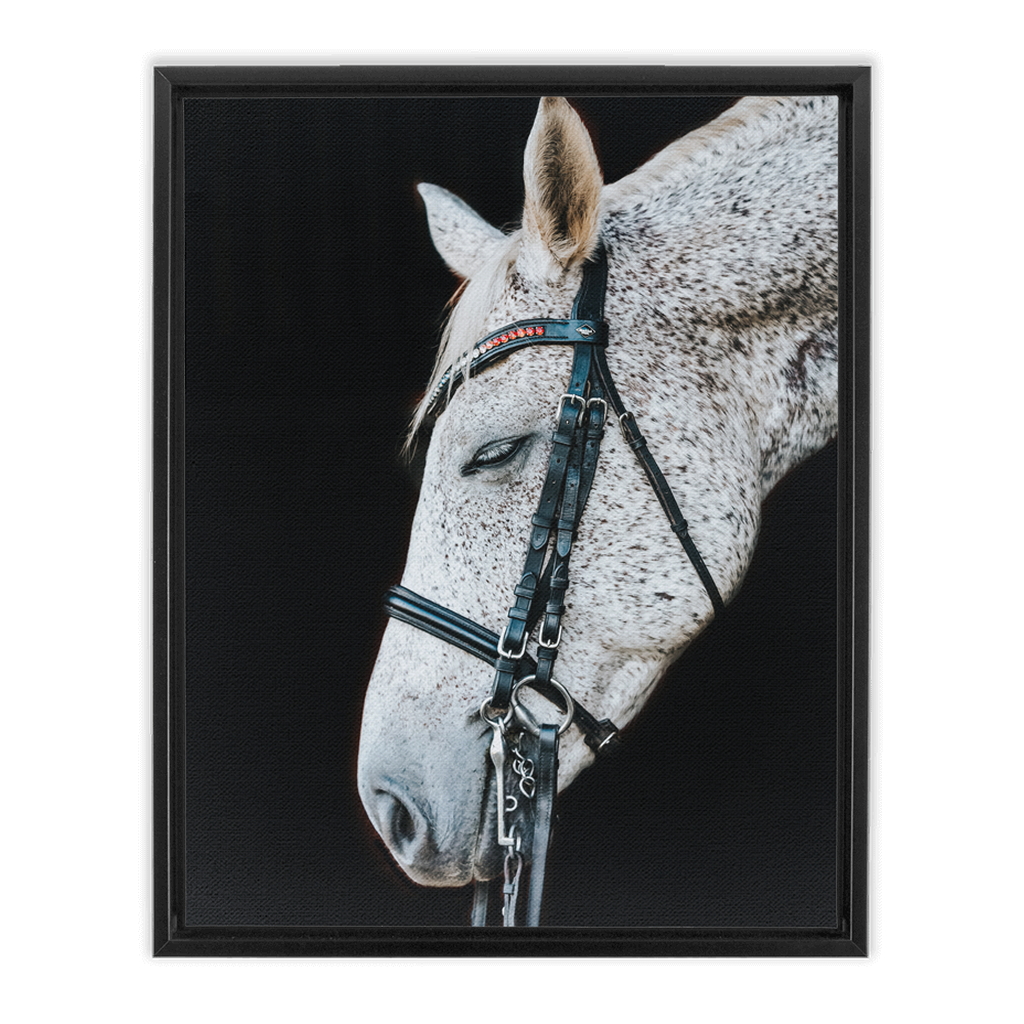 Apollo Series 1, Framed Canvas