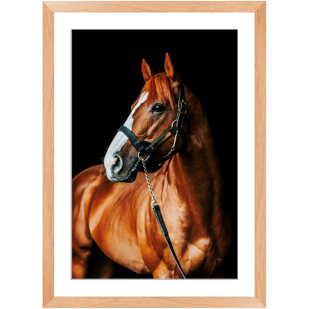 Justify Series 1, Framed Print