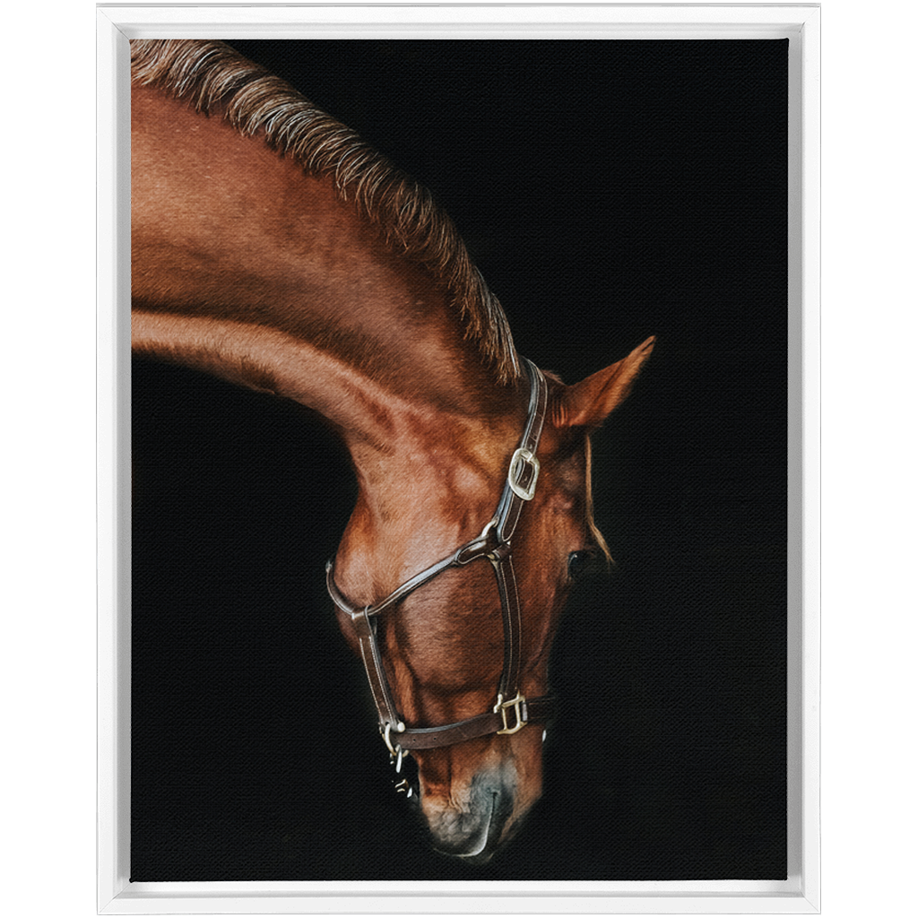 Django Series 6, Framed Canvas