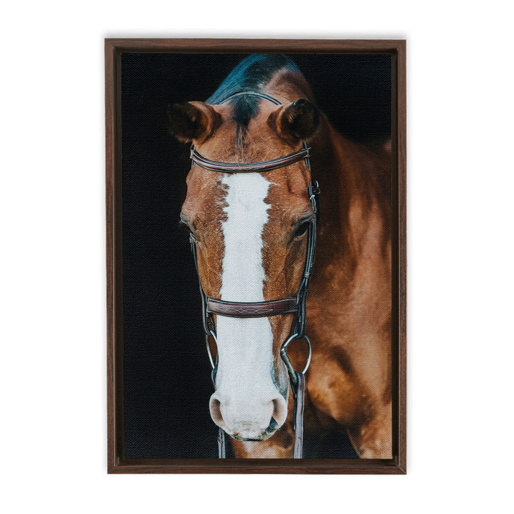 Huntsman Series 6, Framed Canvas