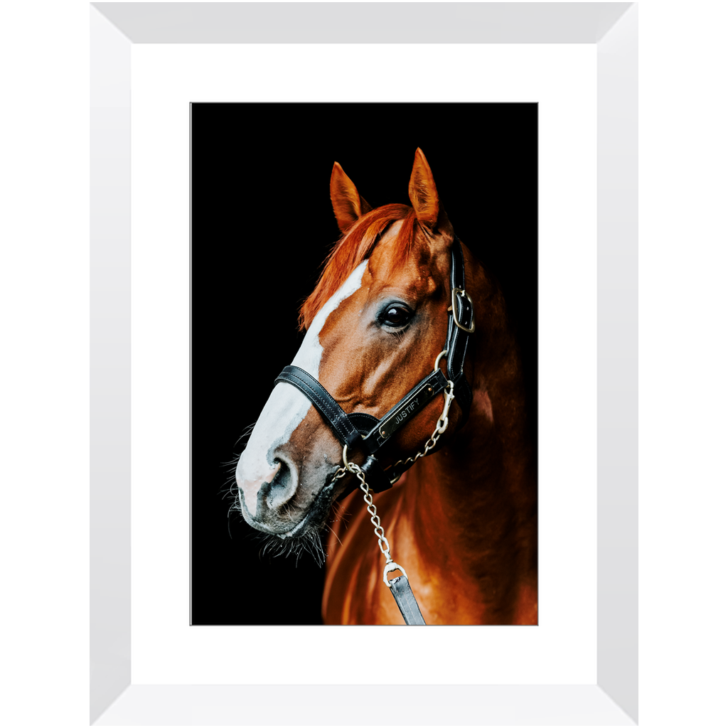 Justify Series 5, Framed Print
