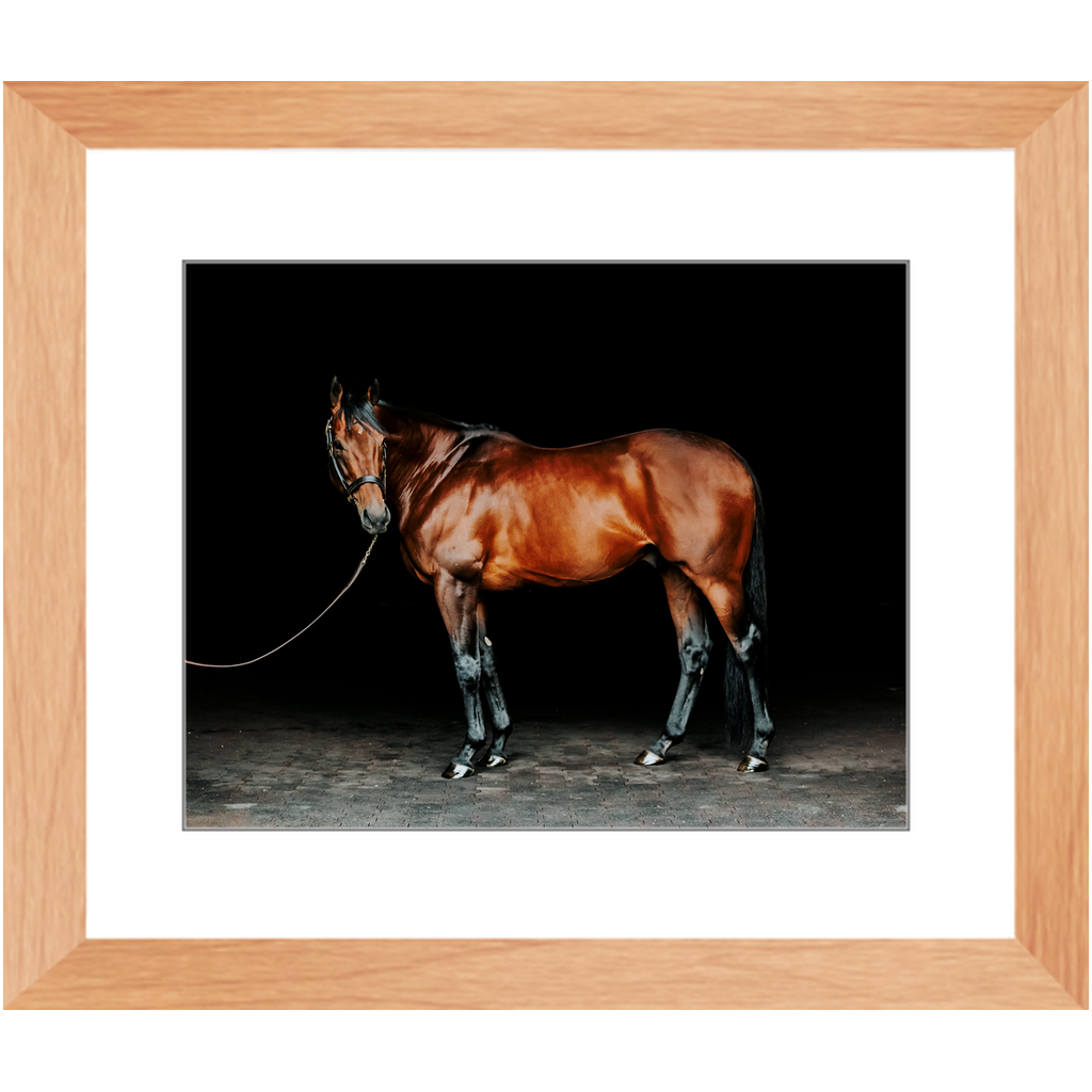 American Pharoah Series 1, Framed Print