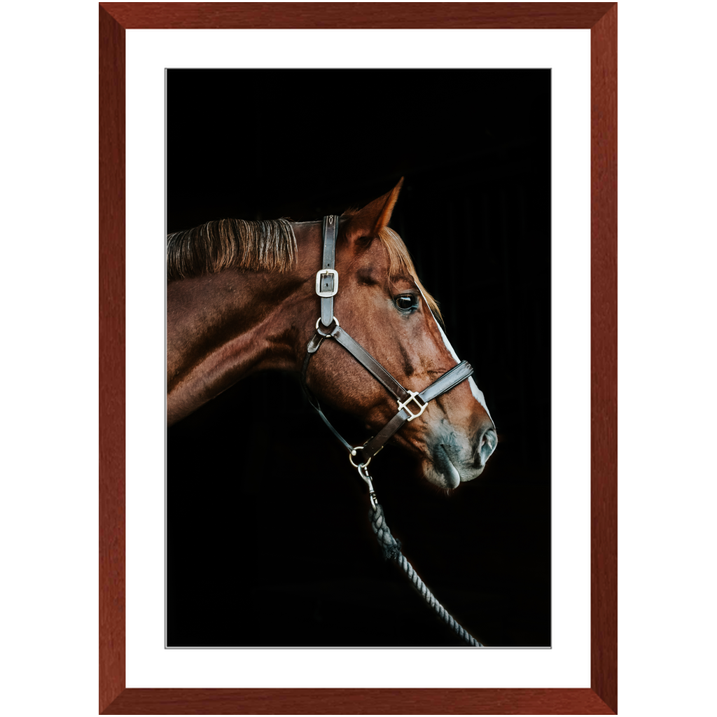 Django Series 3, Framed Print
