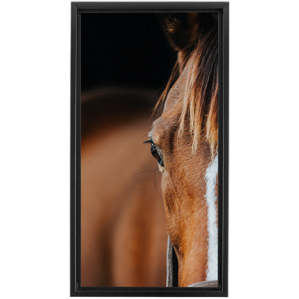 Majestic 1, Framed Canvas