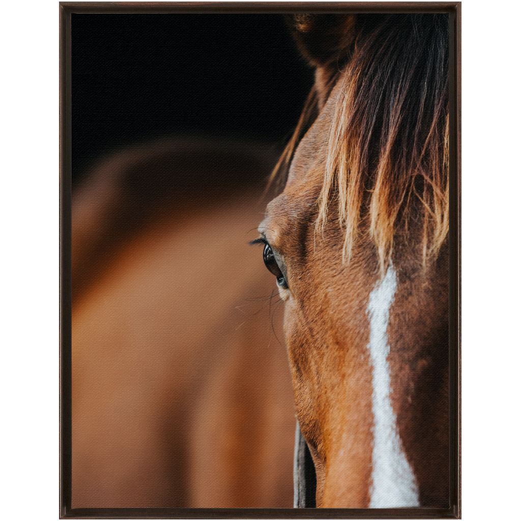 Majestic 1, Framed Canvas
