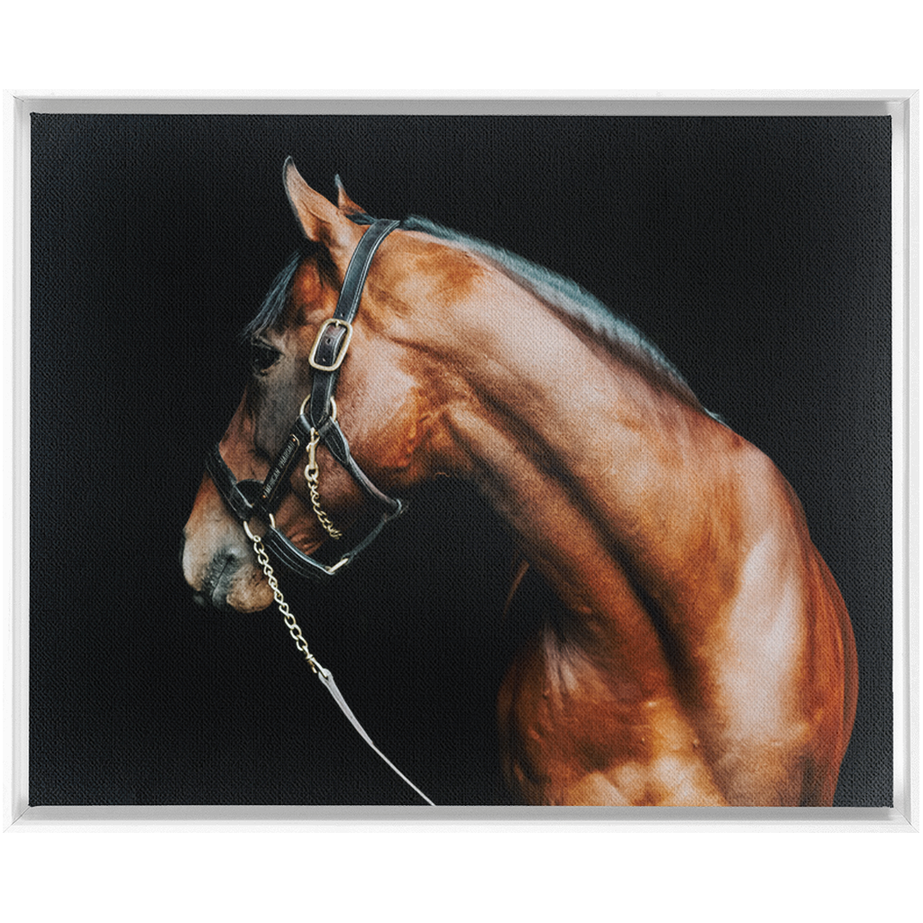 American Pharoah Series 5, Framed Canvas
