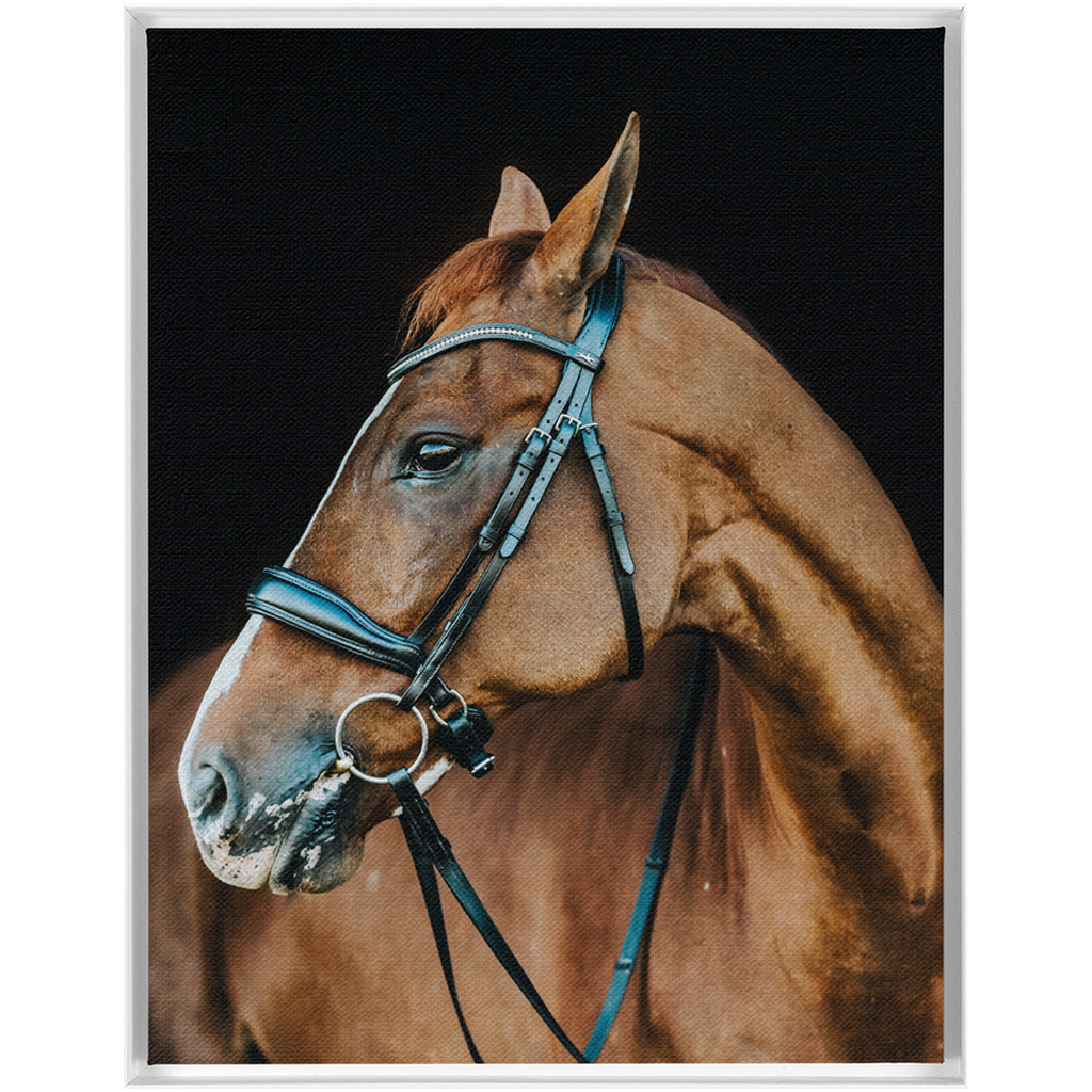 Hudson Series 6, Framed Canvas