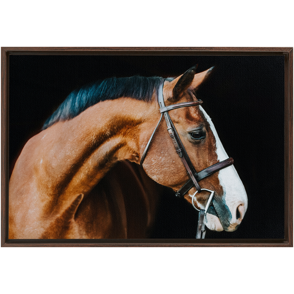 Huntsman Series 3, Framed Canvas