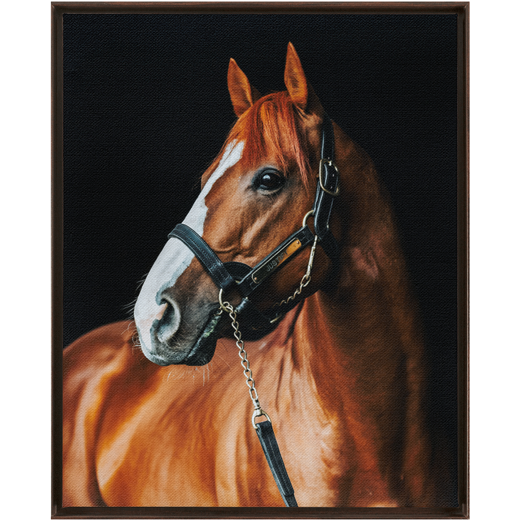 Justify Series 1, Framed Canvas