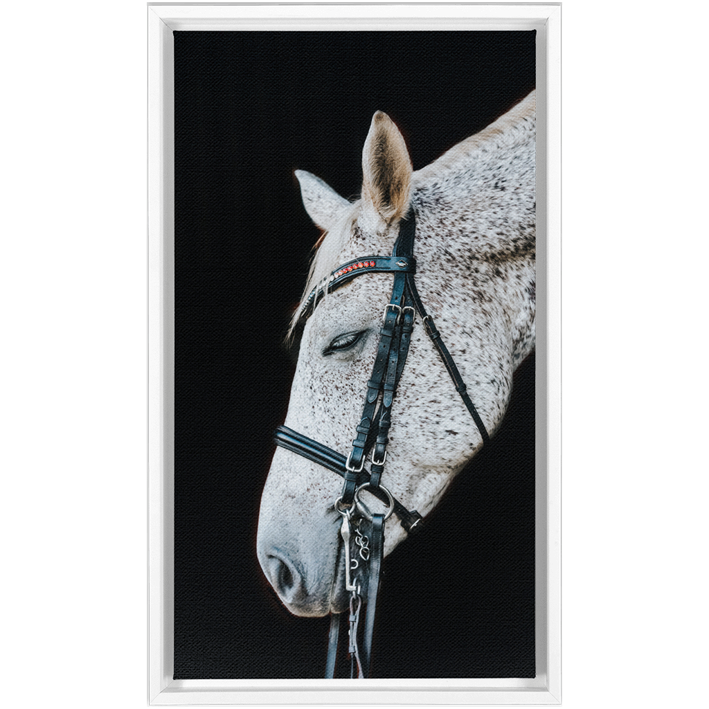 Apollo Series 1, Framed Canvas