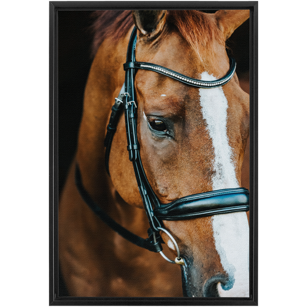 Hudson Series 3, Framed Canvas