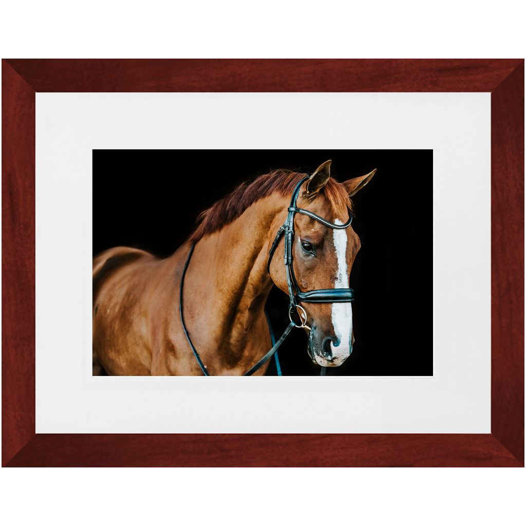 Hudson Series 1, Framed Print