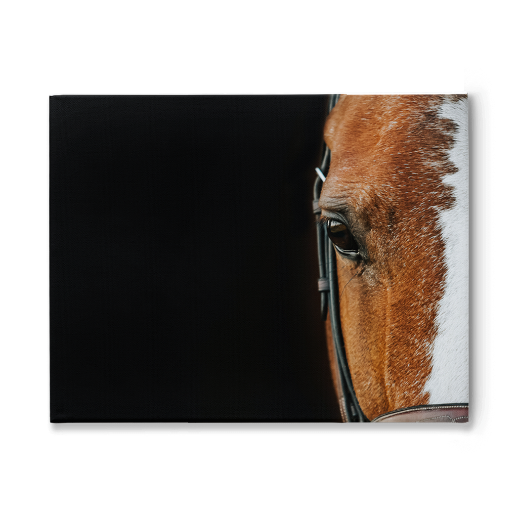 Huntsman Series 5, Stretched Canvas