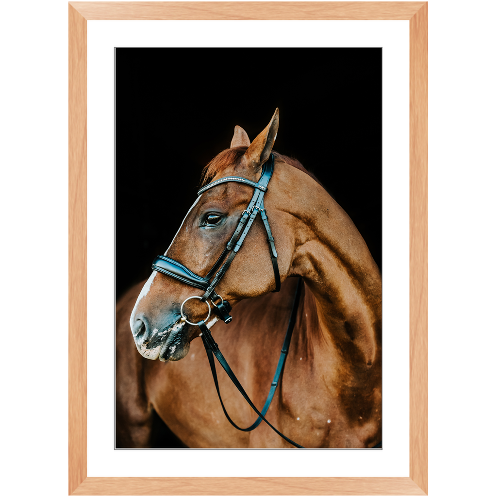 Hudson Series 6, Framed Print