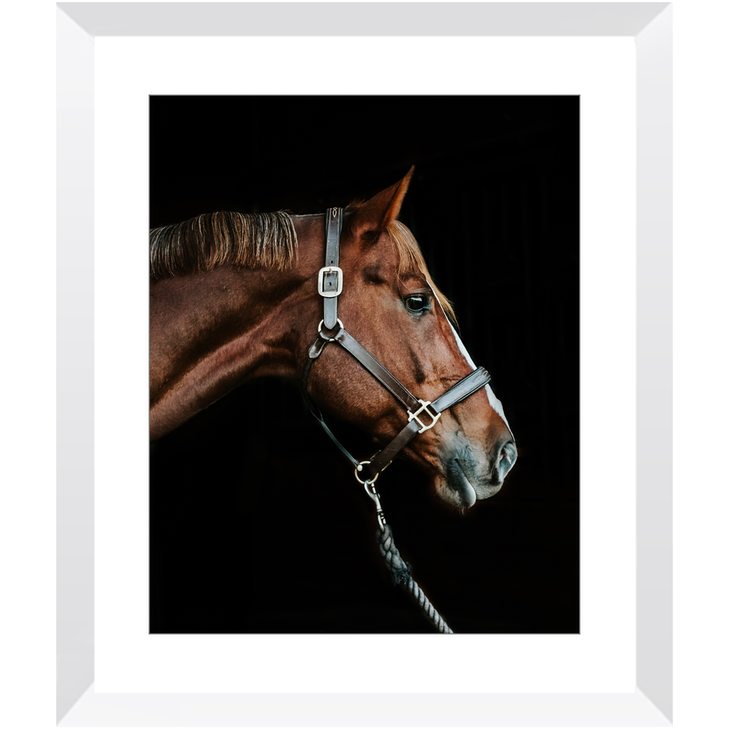 Django Series 3, Framed Print
