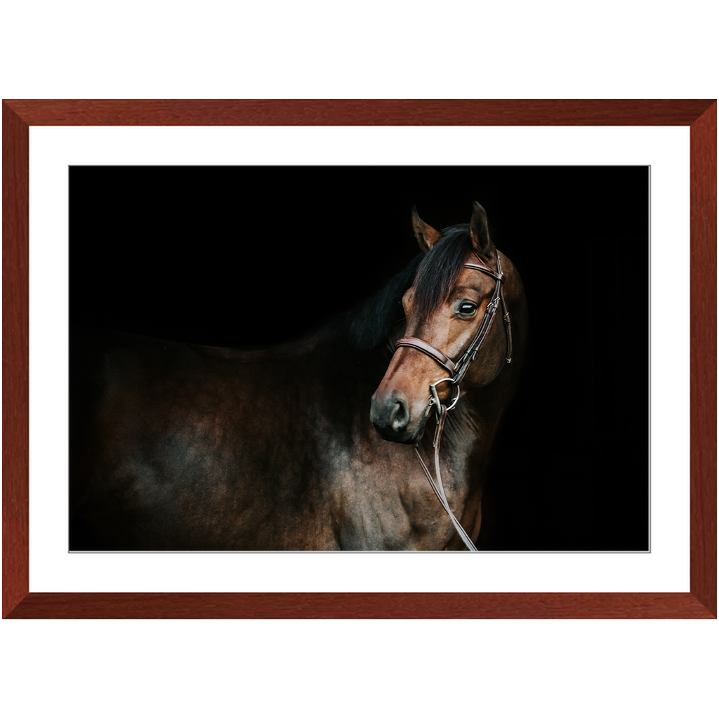 Jovial Series 2, Framed Print