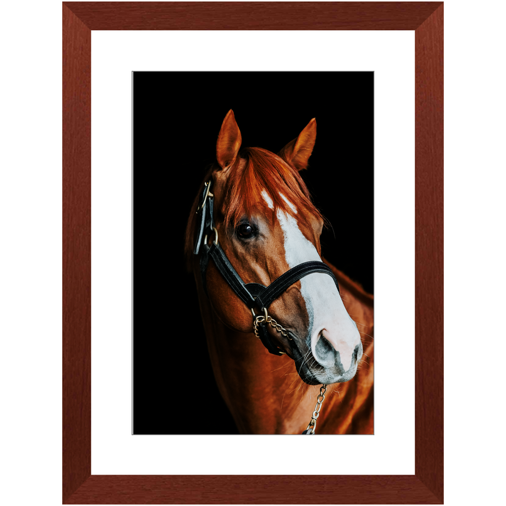 Justify Series 2, Framed Print