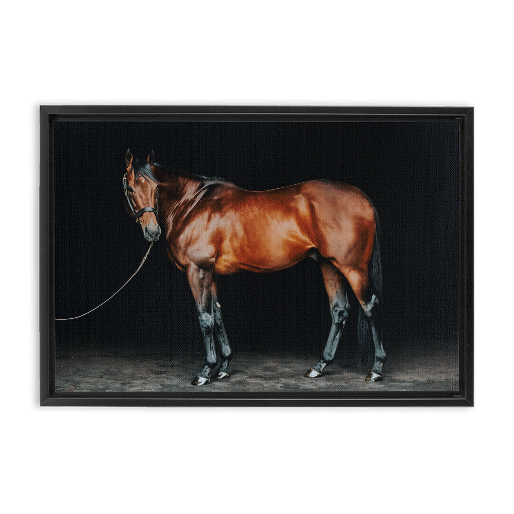 American Pharoah Series 1, Framed Canvas