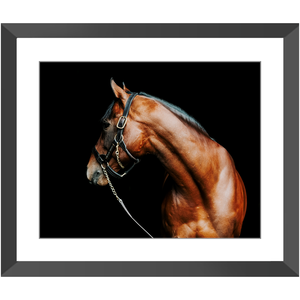American Pharoah Series 5, Framed Print