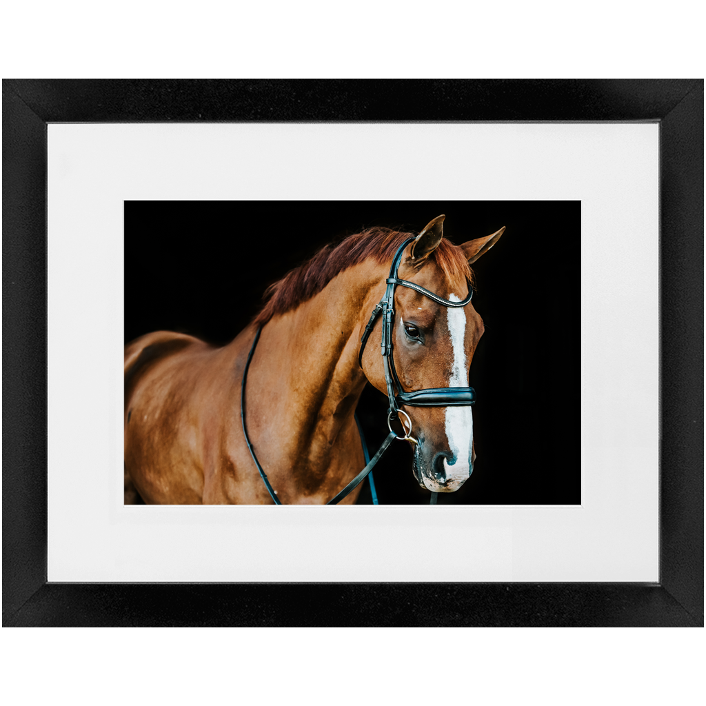Hudson Series 1, Framed Print