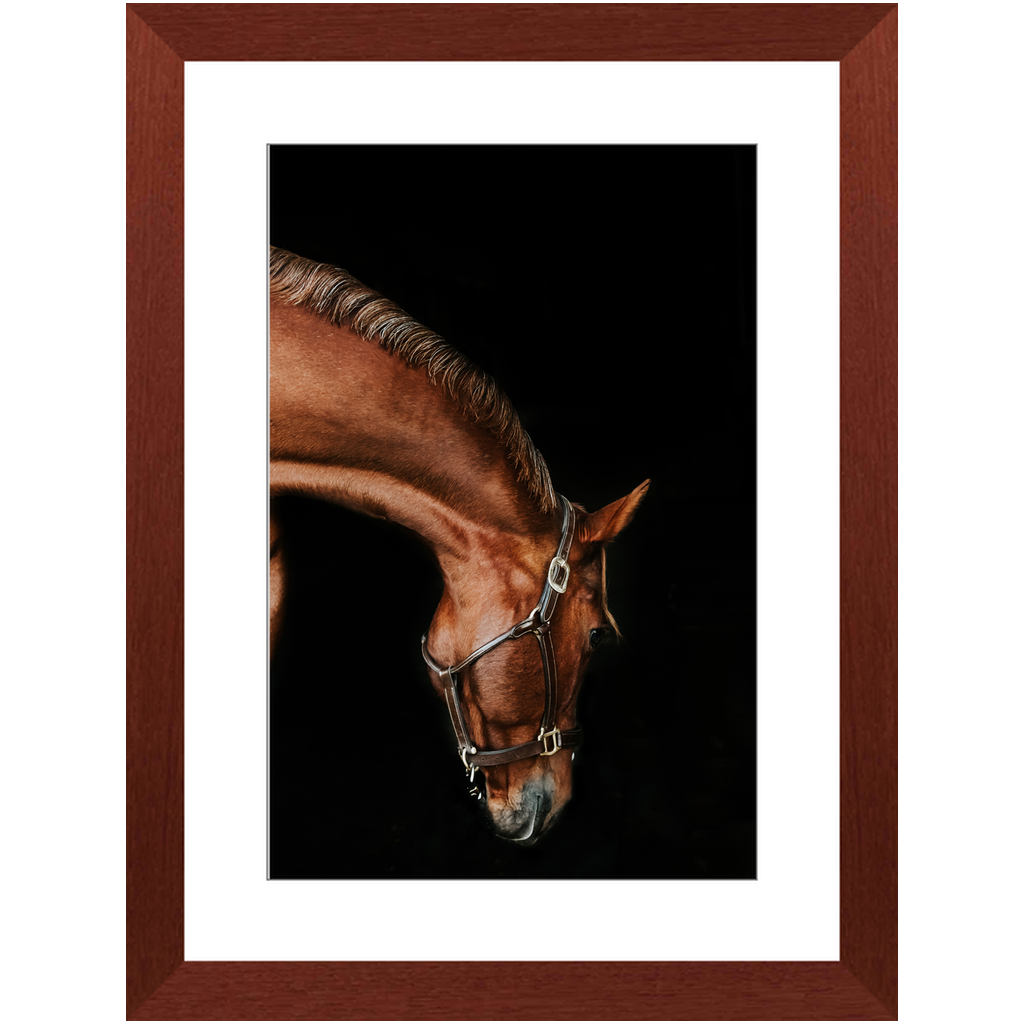 Django Series 6, Framed Print