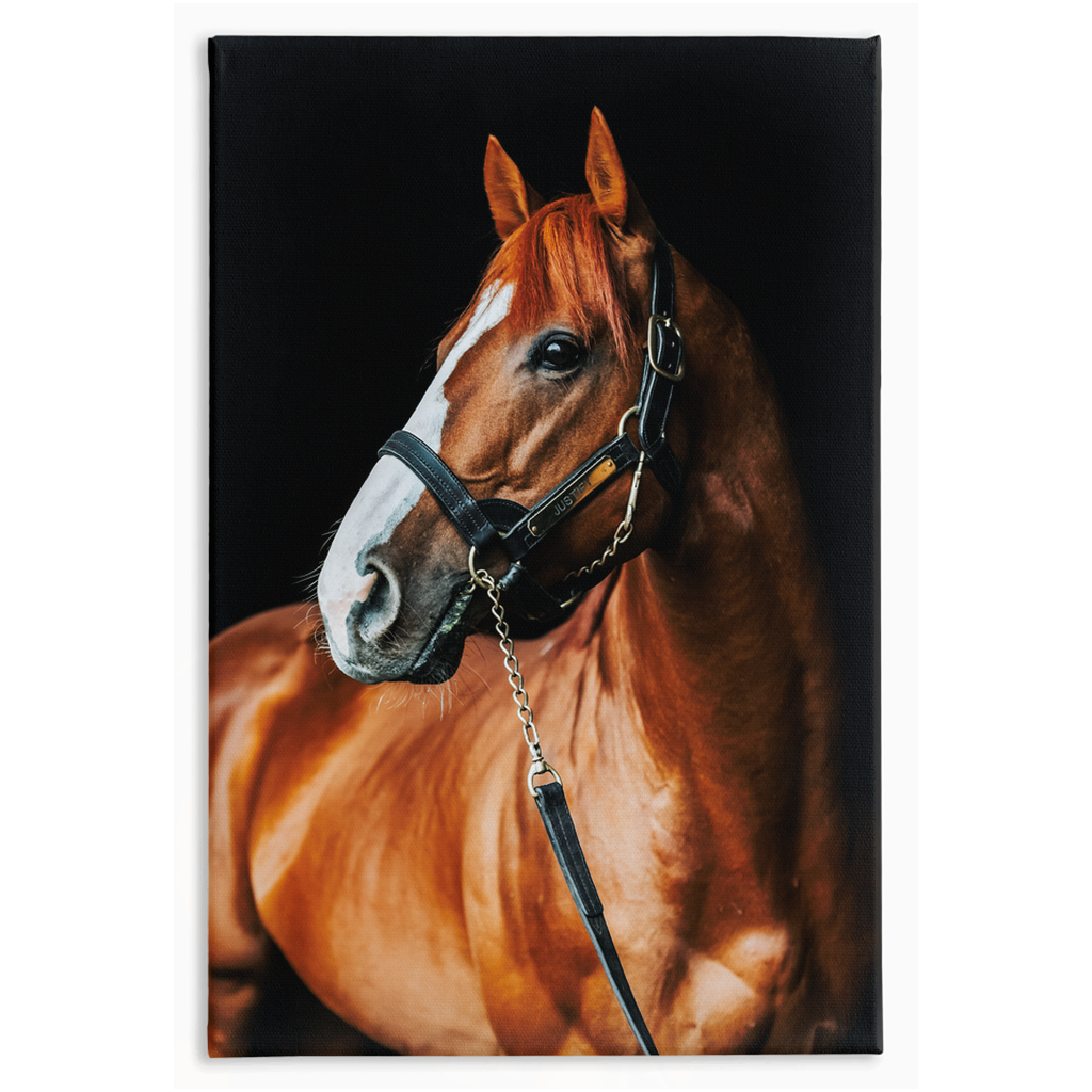 Justify Series 1, Stretched Canvas
