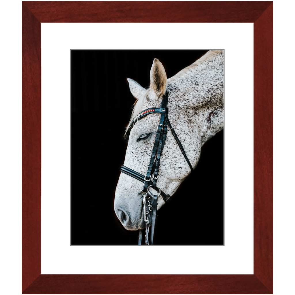 Apollo Series 1, Framed Print