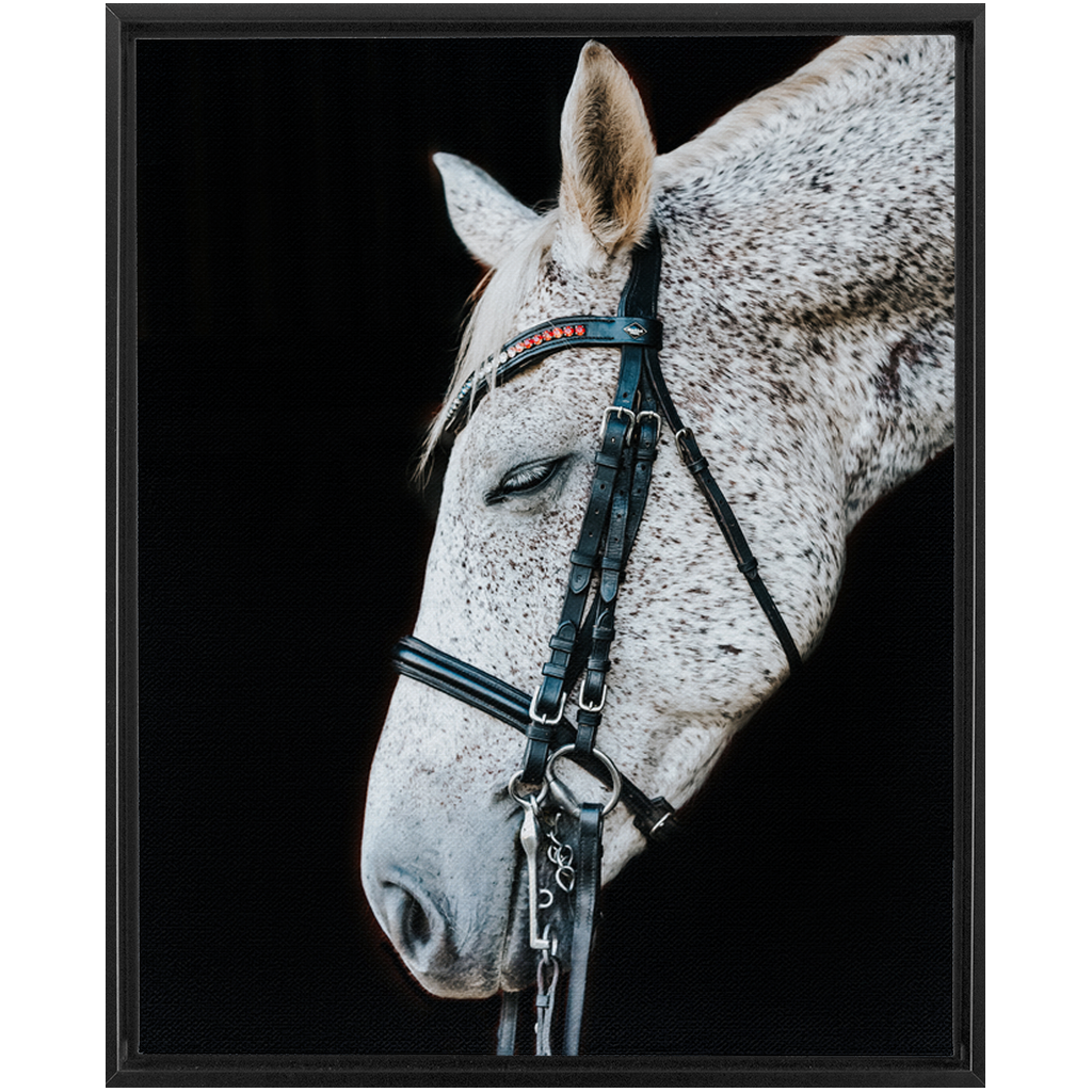 Apollo Series 1, Framed Canvas