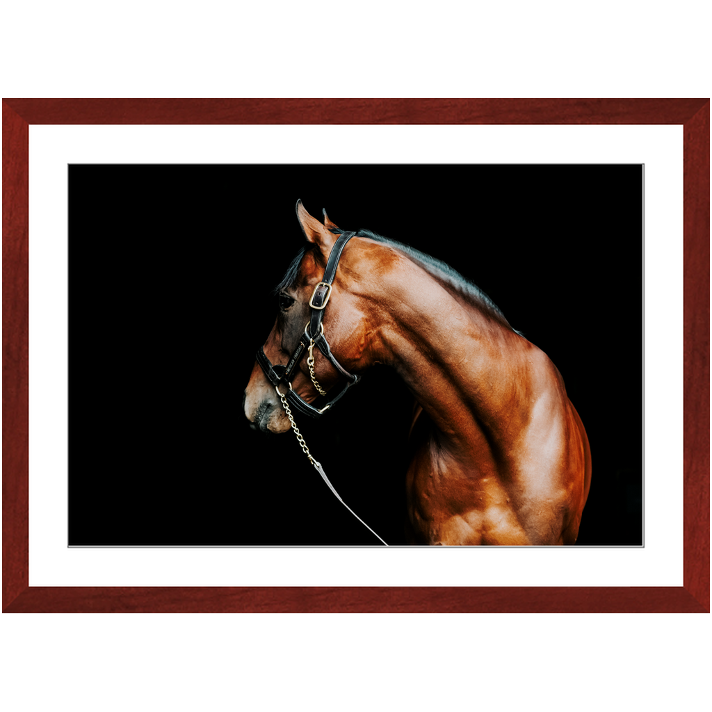 American Pharoah Series 5, Framed Print