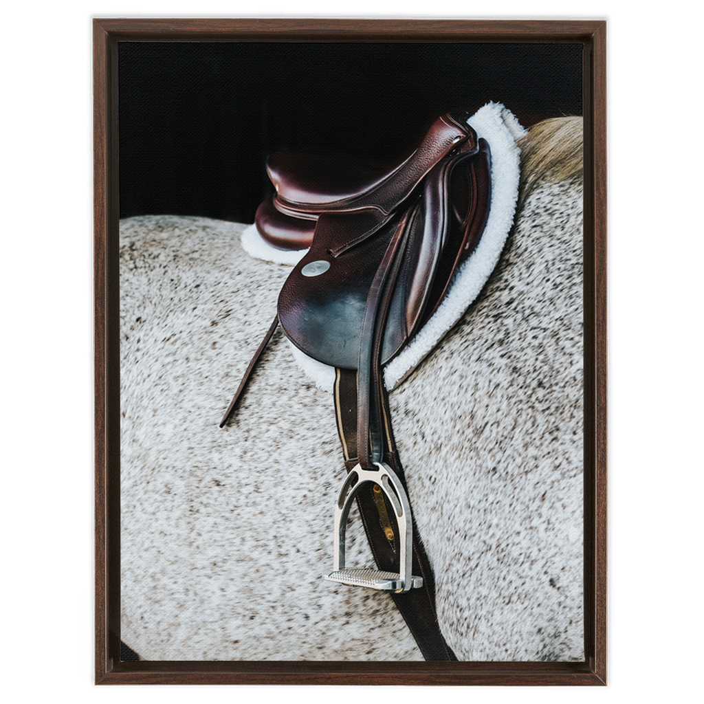 Apollo Series 3, Framed Canvas