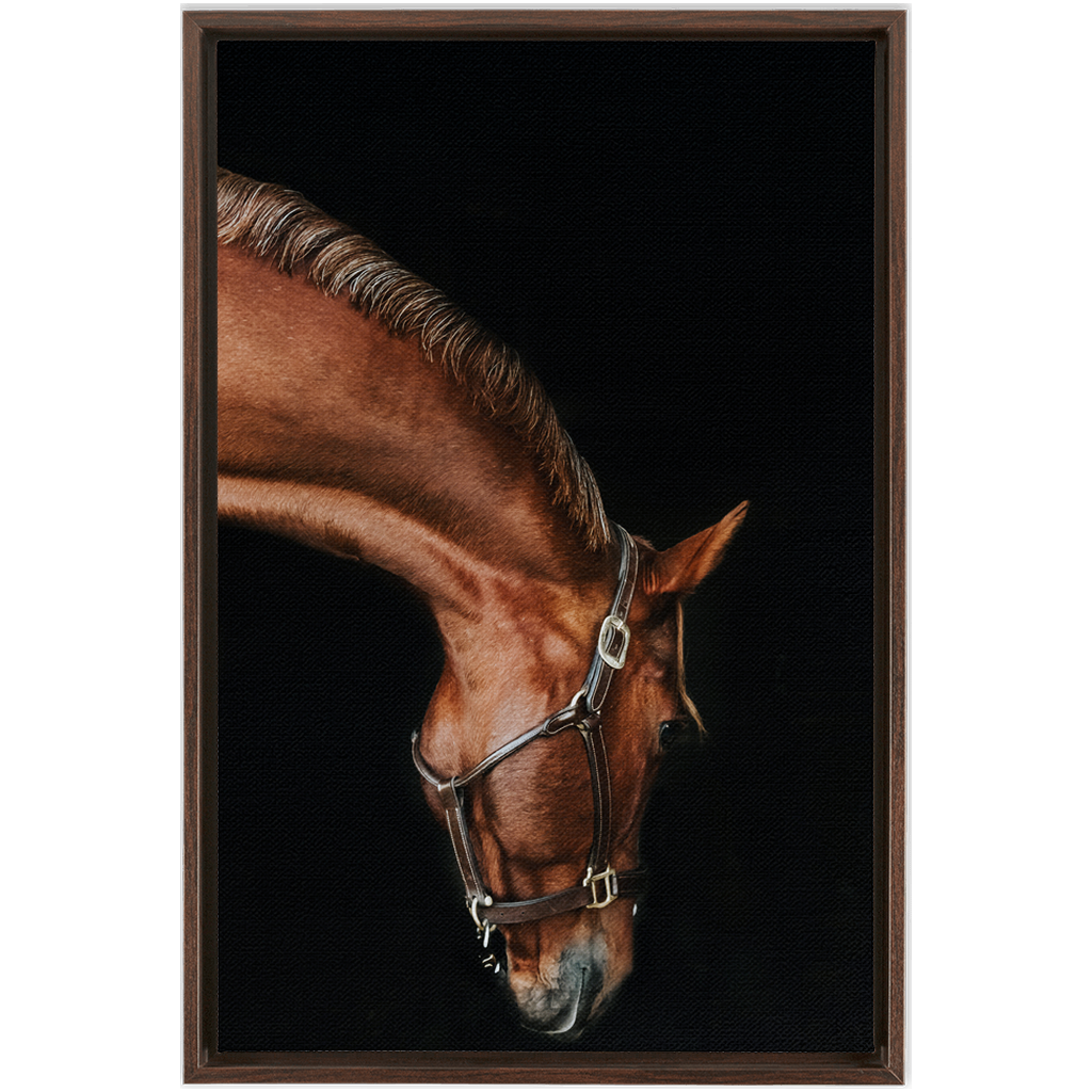 Django Series 6, Framed Canvas