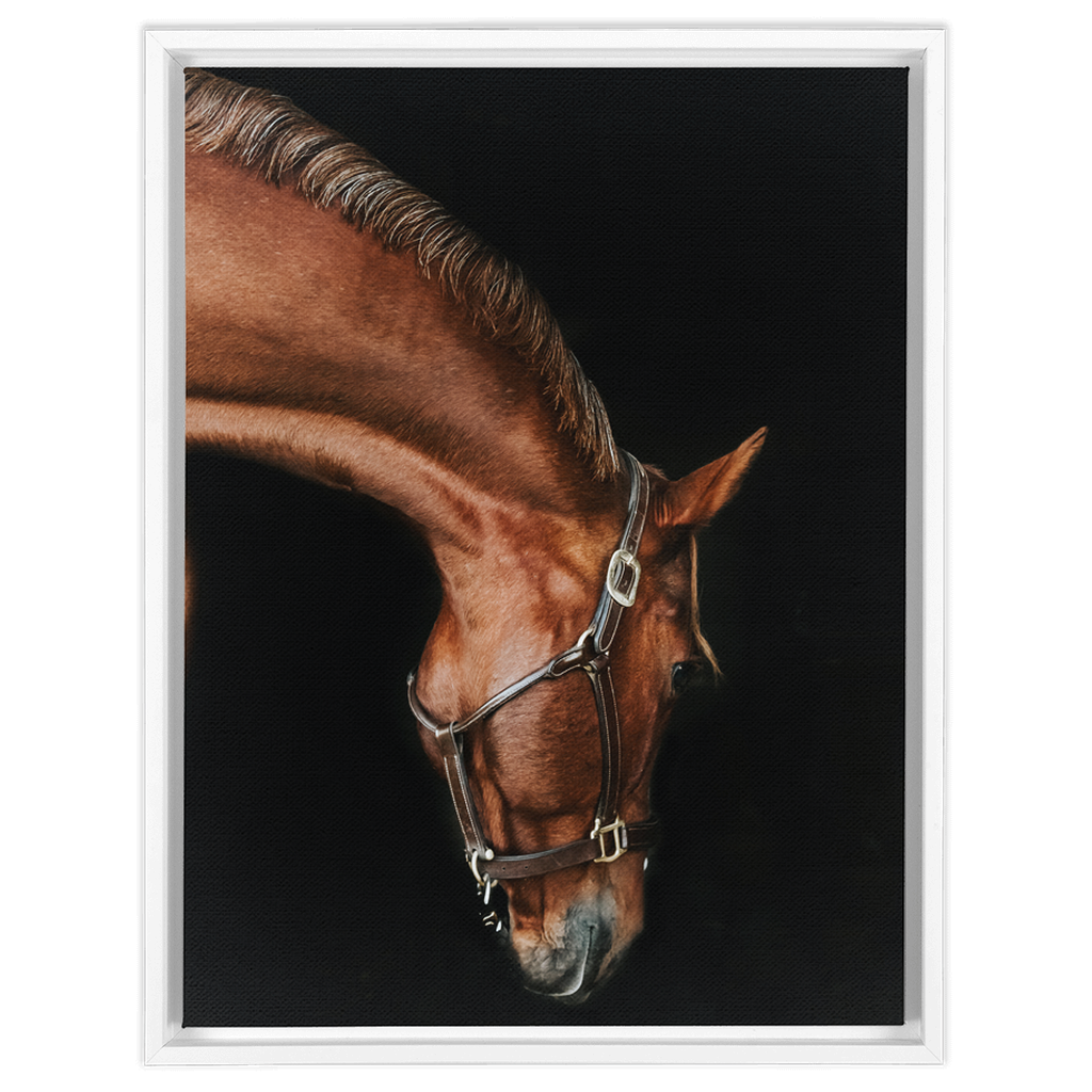 Django Series 6, Framed Canvas