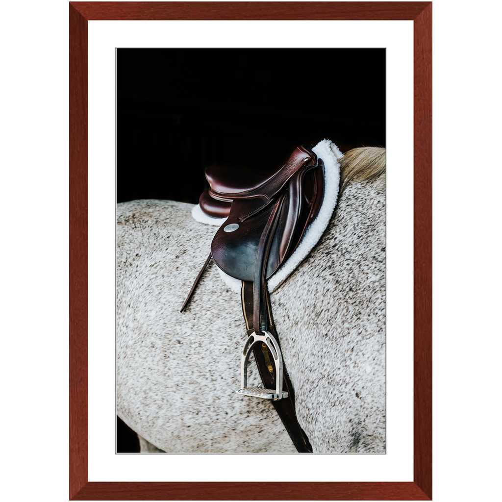 Apollo Series 3, Framed Print